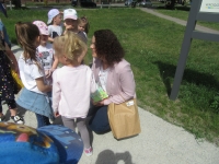 Zdjęcie: ŚCIEŻKA EKOLOGICZNA
