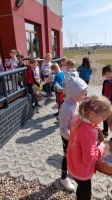 Zdjęcie: Wielkanocny tydzień