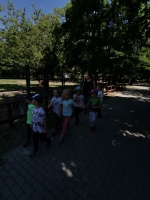 Zdjęcie: 3.06.22.