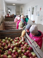 Zdjęcie: Wycieczka do sadu