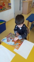 Zdjęcie: Muchomorki.