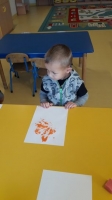 Zdjęcie: Muchomorki.