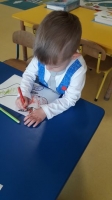 Zdjęcie: Kolorowe owoce.