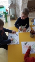 Zdjęcie: Kolorowe owoce.