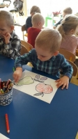 Zdjęcie: Kolorowe owoce.