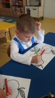 Zdjęcie: Kolorowe owoce.