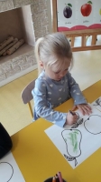 Zdjęcie: Kolorowe owoce.