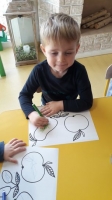 Zdjęcie: Kolorowe owoce.