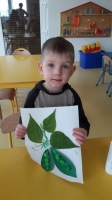 Zdjęcie: Groszek.
