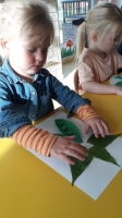 Zdjęcie: Groszek.