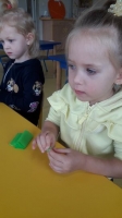 Zdjęcie: Groszek.
