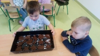 Zdjęcie: Pieczenie pierników