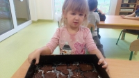 Zdjęcie: Pieczenie pierników