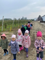 Zdjęcie: Wycieczka do sadu