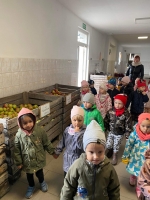 Zdjęcie: Wycieczka do sadu