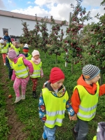 Zdjęcie: wycieczka do sadu