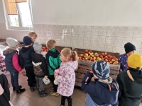 Zdjęcie: 4.10.2022.