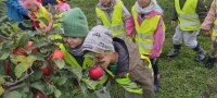 Zdjęcie: WYCIECZKA DO SADU