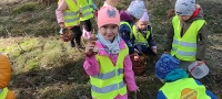 Zdjęcie: WYCIECZKA DO LASU