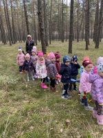 Zdjęcie: Wycieczka do lasu
