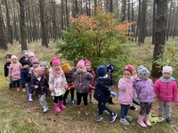 Zdjęcie: Wycieczka do lasu
