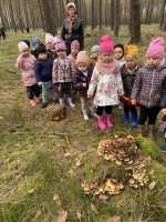 Zdjęcie: Wycieczka do lasu