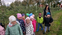 Zdjęcie: WYCIECZKA DO SADU