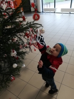 Zdjęcie: Ubieramy choinkę