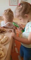 Zdjęcie: ZABAWY BADAWCZE Z PESTKAMI OWOCÓW