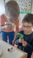 Zdjęcie: ZABAWY BADAWCZE Z PESTKAMI OWOCÓW