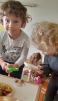 Zdjęcie: ZABAWY BADAWCZE Z PESTKAMI OWOCÓW