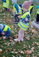 Zdjęcie: WYCIECZKA DO PARKU