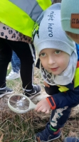 Zdjęcie: WYCIECZKA DO LASU