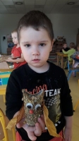 Zdjęcie: Sowa.