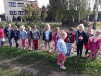 Zdjęcie: JESIEŃ NA DZIAŁCE