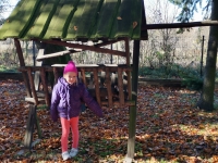 Zdjęcie: 26.10.22.