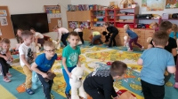 Zdjęcie: ŚWIĘTO PLUSZOWEGO MISIA