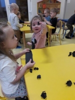 Zdjęcie: Wagoniki z węglem.