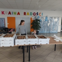 Zdjęcie: Podsumowanie Akcji 