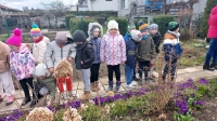 Zdjęcie: W POSZUKIWANIU WIOSNY