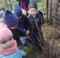 Zdjęcie: CO SŁYCHAĆ WIOSNĄ W OGRODZIE?