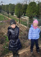 Zdjęcie: CO SŁYCHAĆ WIOSNĄ W OGRODZIE?
