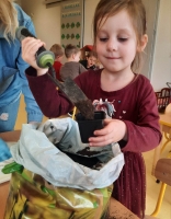 Zdjęcie: ZAKŁADAMY HODOWLĘ ROŚLIN