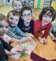 Zdjęcie: ZAKŁADAMY HODOWLĘ ROŚLIN