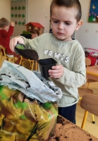 Zdjęcie: ZAKŁADAMY HODOWLĘ ROŚLIN
