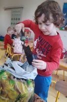 Zdjęcie: ZAKŁADAMY HODOWLĘ ROŚLIN