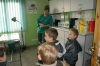 Zdjęcie: PSZCZÓŁKI U WETERYNARZA