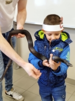 Zdjęcie: OKO W OKO Z WĘŻEM