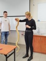 Zdjęcie: OKO W OKO Z WĘŻEM