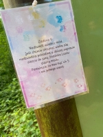 Zdjęcie: Piknik rodzinny- podchody